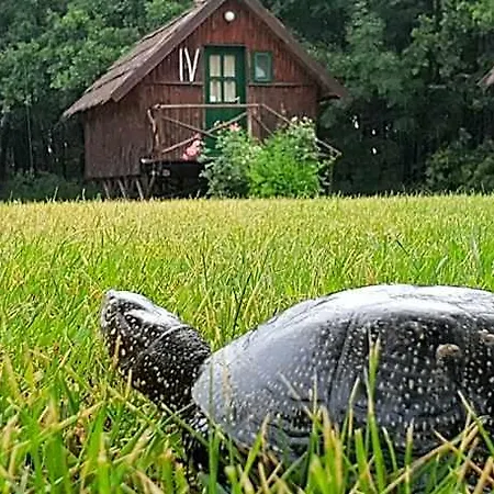 Achilles Park Prázdninový areál Ráb