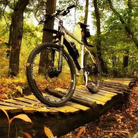Achilles Park *